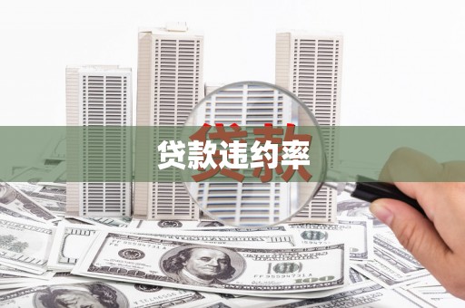 荥经贷款违约率