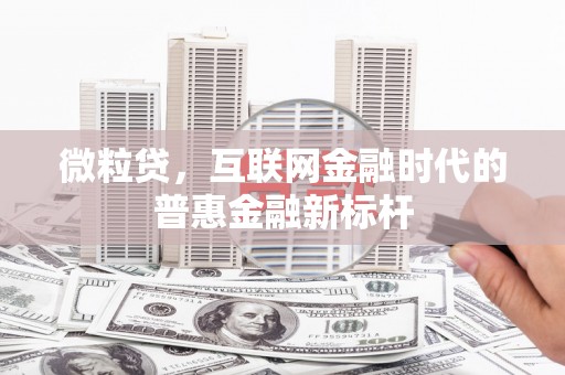 荥经微粒贷，互联网金融时代的普惠金融新标杆