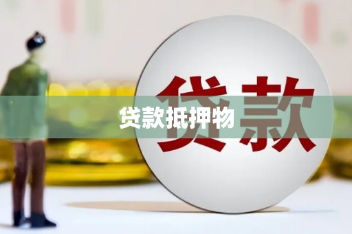 荥经贷款抵押物