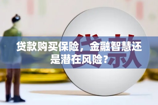 荥经贷款购买保险，金融智慧还是潜在风险？