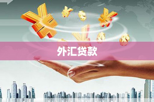 荥经外汇贷款