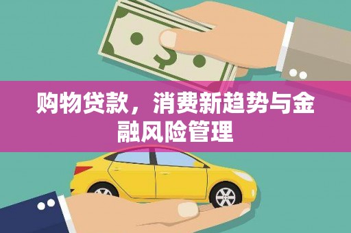 荥经购物贷款，消费新趋势与金融风险管理