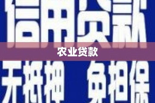 荥经农业贷款