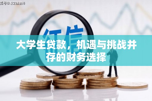 荥经大学生贷款，机遇与挑战并存的财务选择