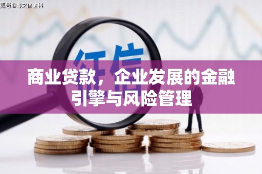 荥经商业贷款，企业发展的金融引擎与风险管理