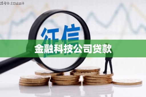 荥经金融科技公司贷款