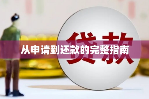 荥经从申请到还款的完整指南