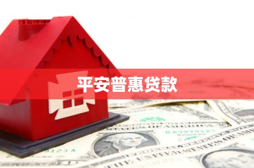 荥经平安普惠贷款
