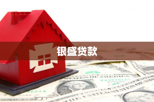 荥经银盛贷款