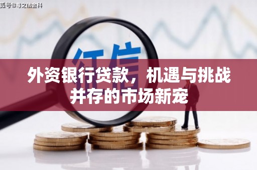 荥经外资银行贷款，机遇与挑战并存的市场新宠