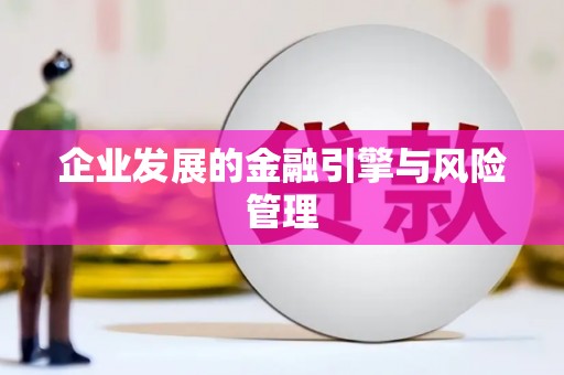 荥经企业发展的金融引擎与风险管理