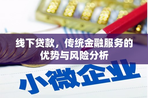 荥经线下贷款，传统金融服务的优势与风险分析