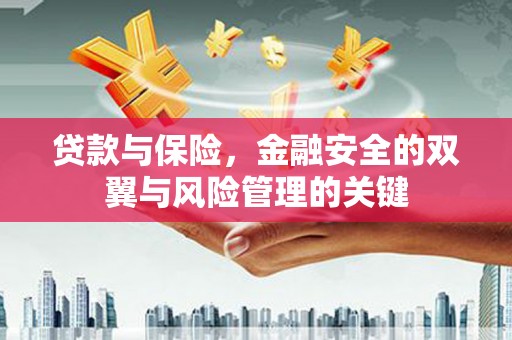 荥经贷款与保险，金融安全的双翼与风险管理的关键