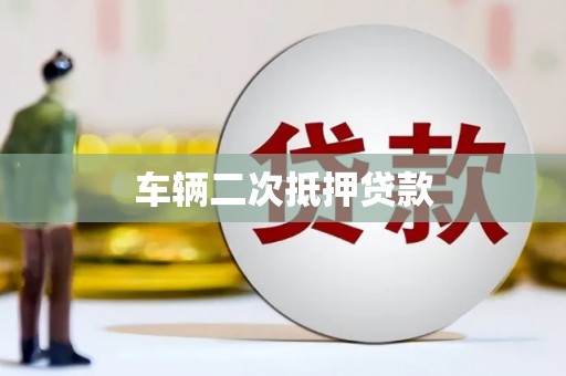 荥经车辆二次抵押贷款
