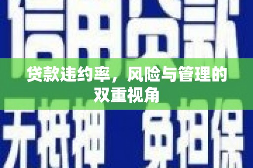 荥经贷款违约率，风险与管理的双重视角
