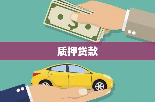 荥经质押贷款