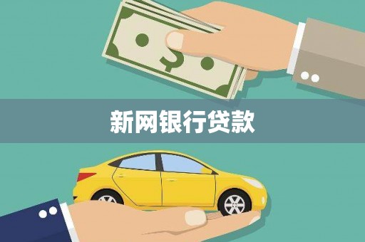 荥经新网银行贷款