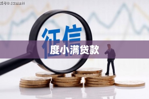 荥经度小满贷款