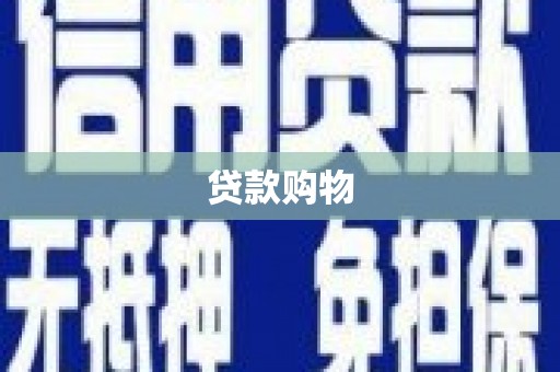 荥经贷款购物