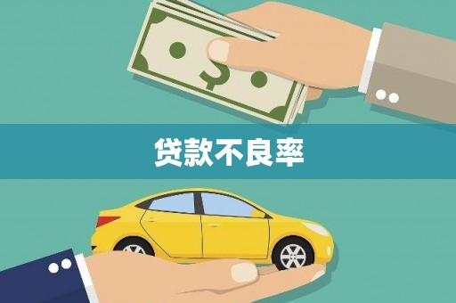 荥经贷款不良率