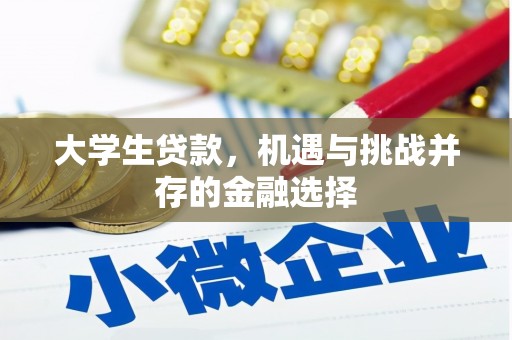荥经大学生贷款，机遇与挑战并存的金融选择