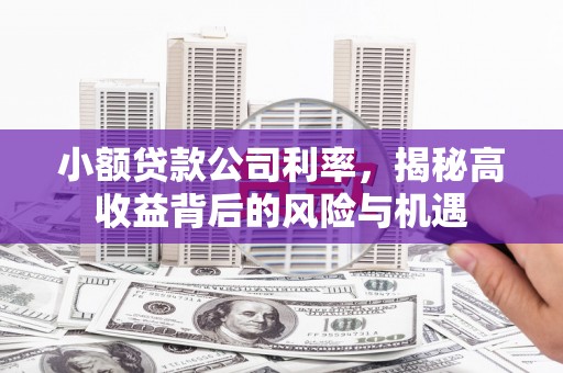 荥经小额贷款公司利率，揭秘高收益背后的风险与机遇