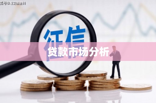 荥经贷款市场分析