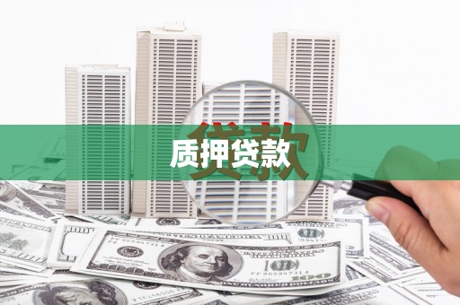 荥经质押贷款