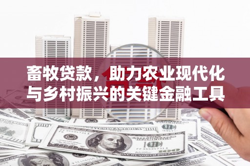荥经畜牧贷款，助力农业现代化与乡村振兴的关键金融工具