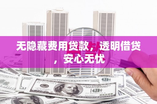 荥经无隐藏费用贷款，透明借贷，安心无忧