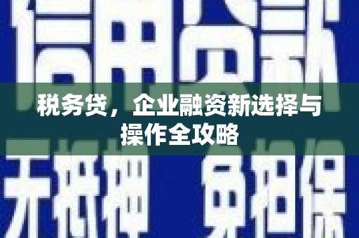 荥经税务贷，企业融资新选择与操作全攻略