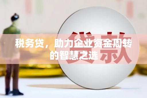 荥经税务贷，助力企业资金周转的智慧之选