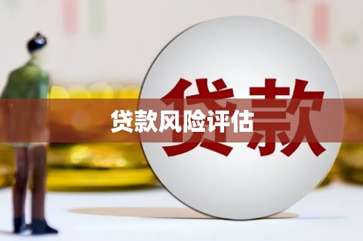 荥经贷款风险评估