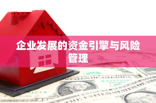 荥经企业发展的资金引擎与风险管理