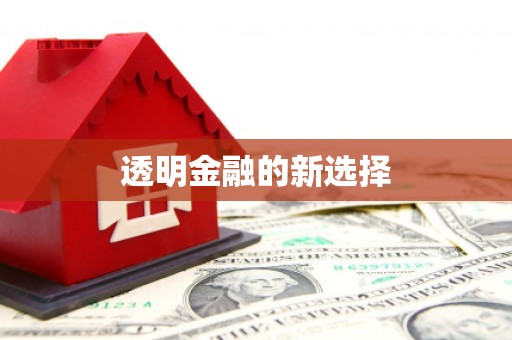 荥经透明金融的新选择
