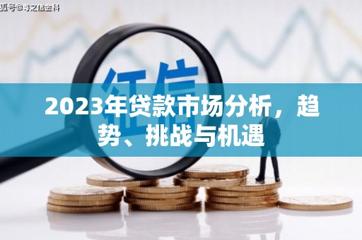 荥经2023年贷款市场分析，趋势、挑战与机遇