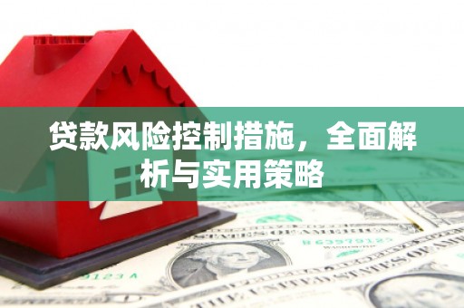 荥经贷款风险控制措施，全面解析与实用策略