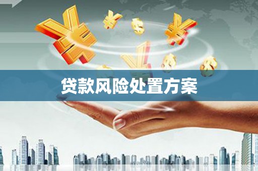 荥经贷款风险处置方案