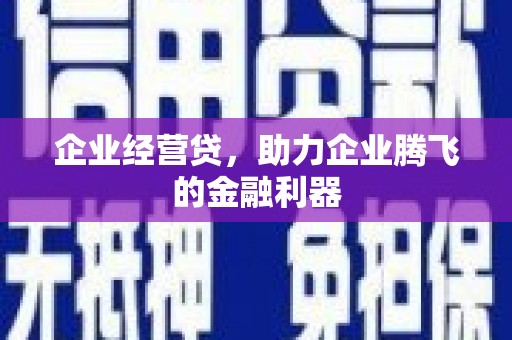 荥经企业经营贷，助力企业腾飞的金融利器