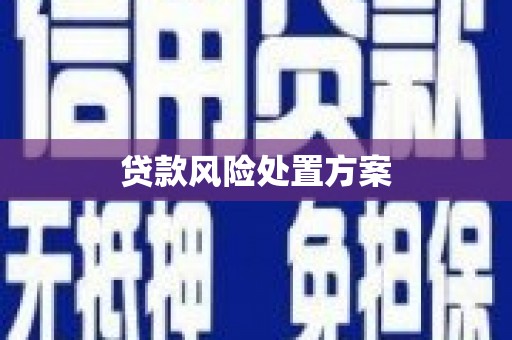 荥经贷款风险处置方案