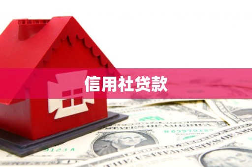 荥经信用社贷款