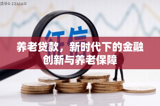 荥经养老贷款，新时代下的金融创新与养老保障