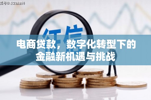 荥经电商贷款，数字化转型下的金融新机遇与挑战