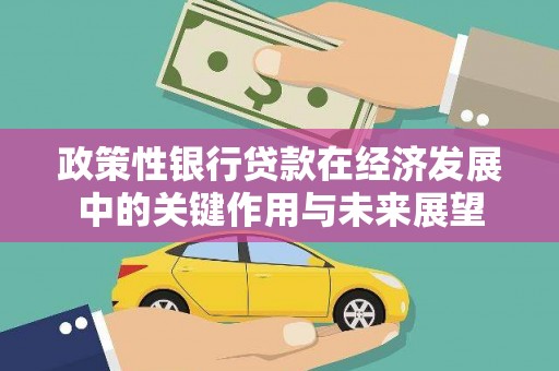 荥经政策性银行贷款在经济发展中的关键作用与未来展望
