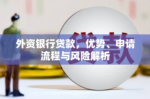 荥经外资银行贷款，优势、申请流程与风险解析