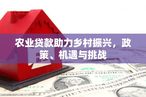 荥经农业贷款助力乡村振兴，政策、机遇与挑战