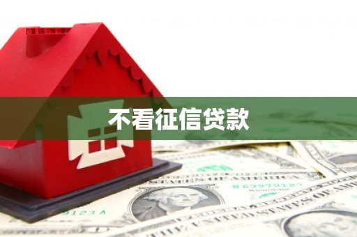 荥经不看征信贷款