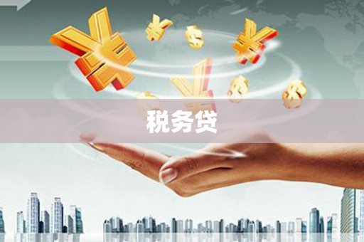 荥经税务贷