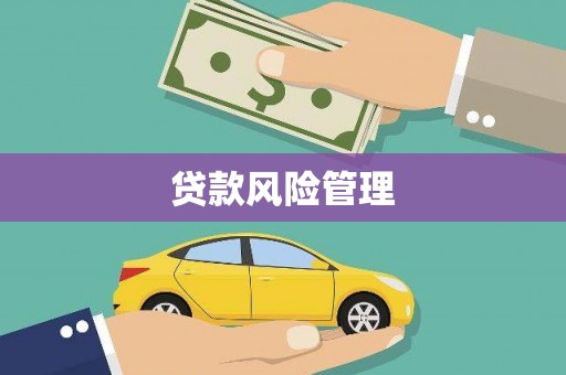 荥经贷款风险管理
