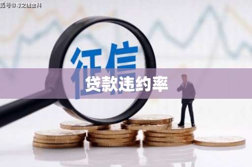 荥经贷款违约率
